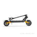 2022 NUOVI SCOOTER ELETTRICO ALLUTTO CITTYCOCO 2000 W Best Sloeter/Ecorider Folding Electric Scooter